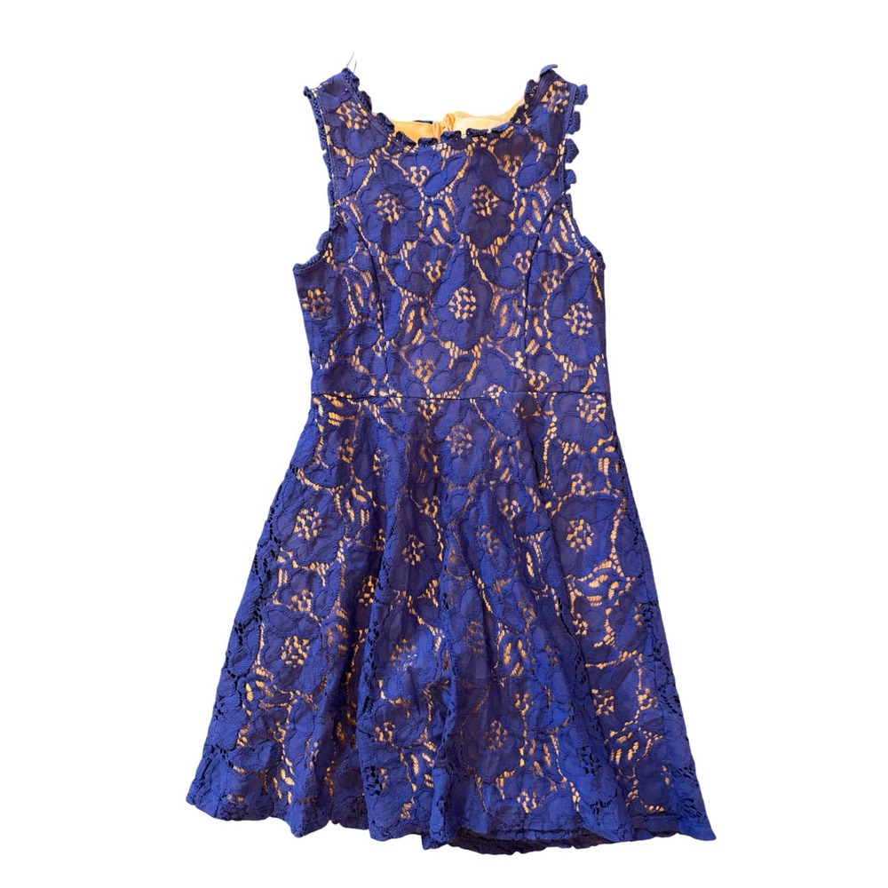 Rare Editions Girls Blue Floral Lace Fit Flare Dress Size 10 E449249 Event